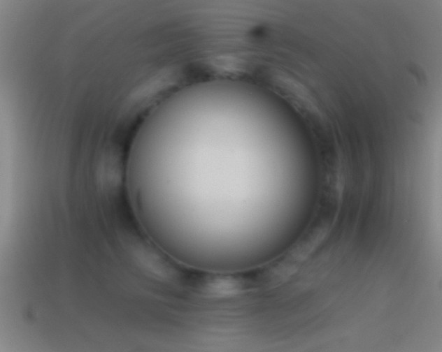 X0000114390710200910161254