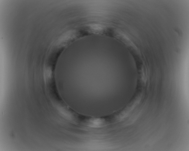 X0000114390711200910161254