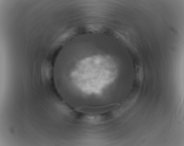 X0000114390712200910161254