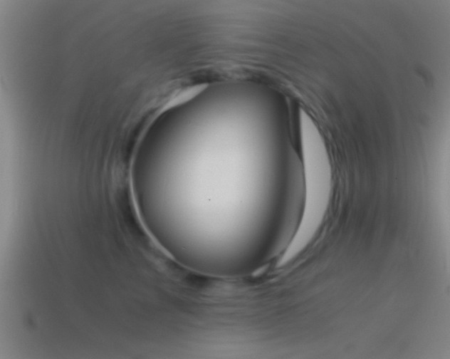 X0000114390713200910161254