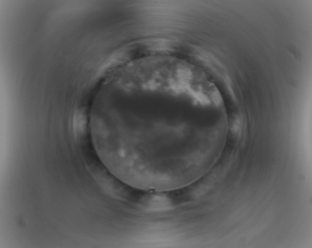 X0000114390715200910161254
