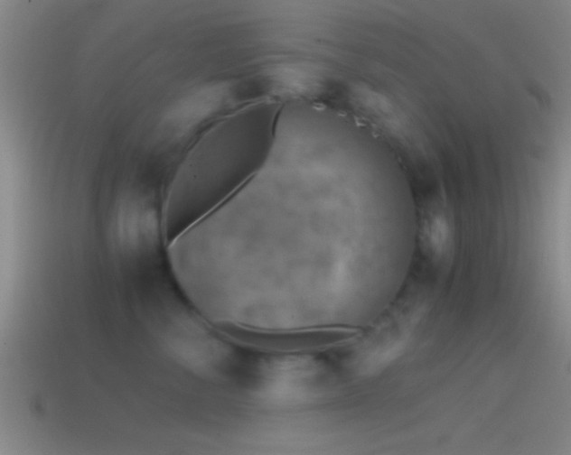 X0000114390716200910161254