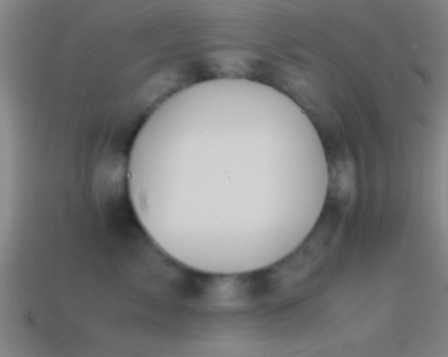 X0000114390717200910161254