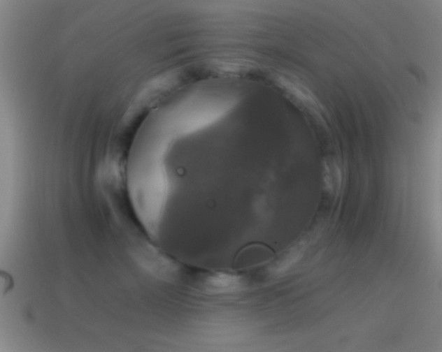 X0000114390718200910161254