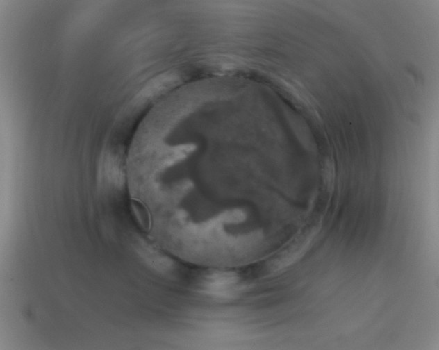 X0000114390719200910161254