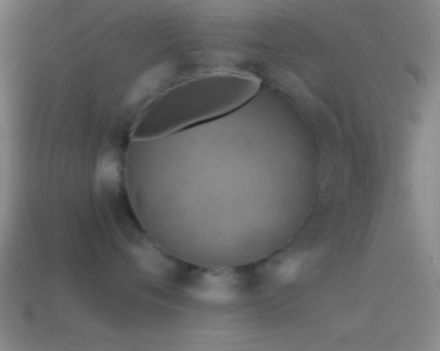 X0000114390720200910161254