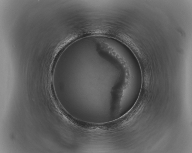 X0000114390721200910161253