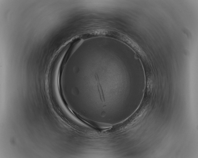 X0000114390722200910161253