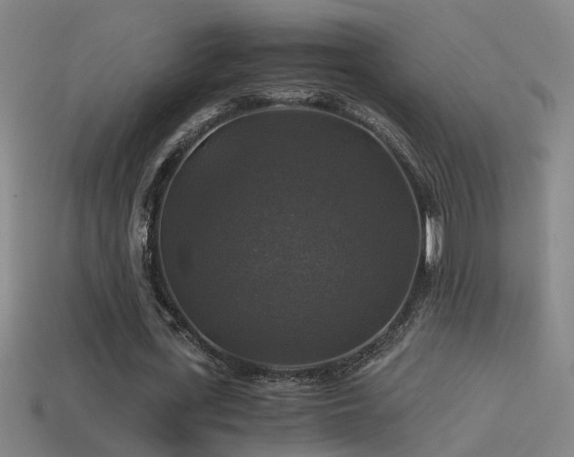 X0000114390723200910161253