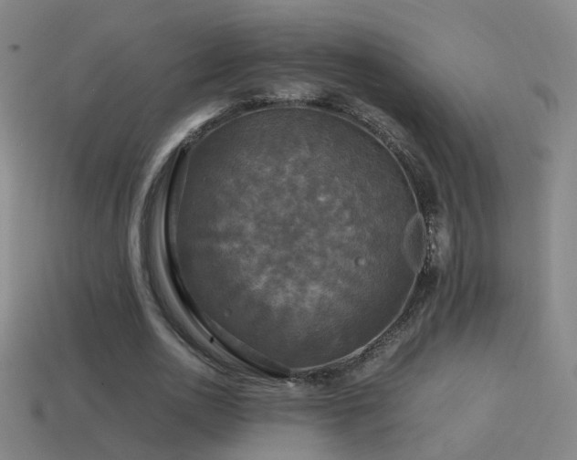 X0000114390726200910161253