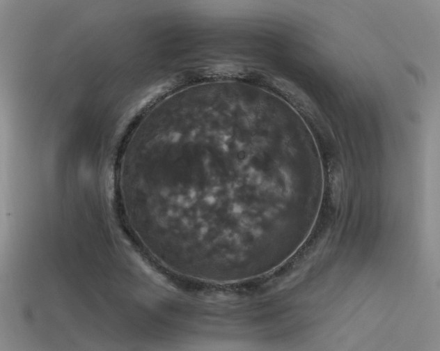 X0000114390729200910161253