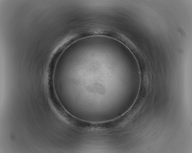 X0000114390730200910161253