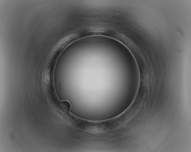 X0000114390731200910161253