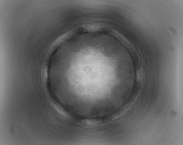 X0000114390733200910161253