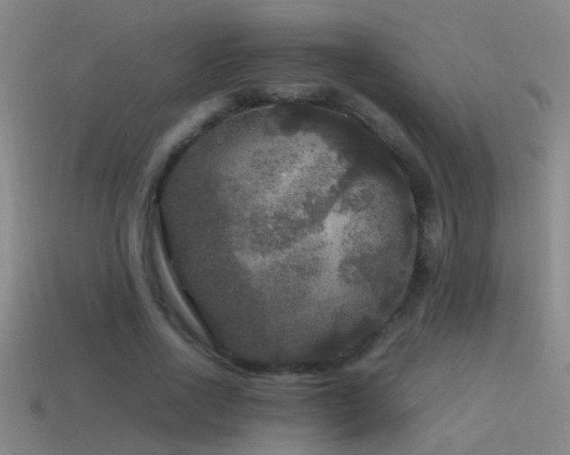 X0000114390734200910161253