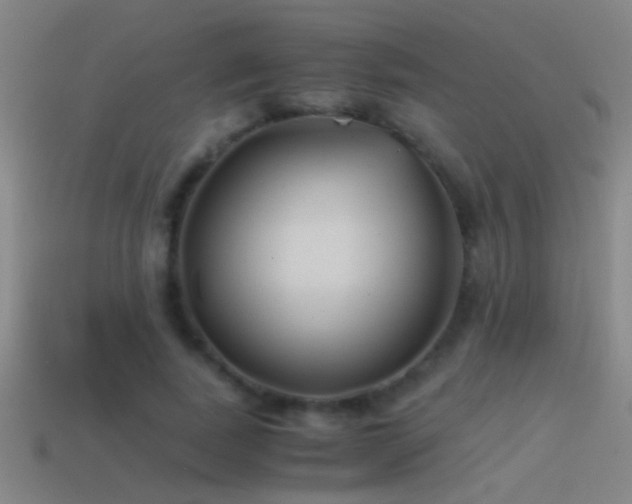 X0000114390739200910161253