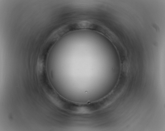 X0000114390741200910161253