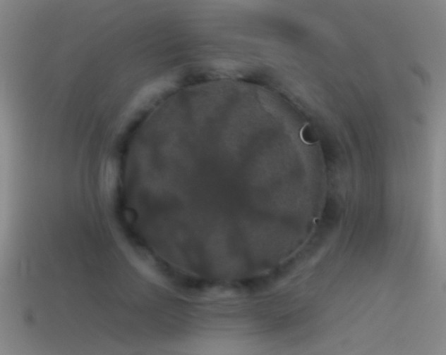X0000114390742200910161253