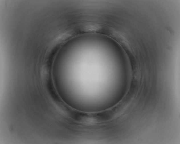 X0000114390743200910161253