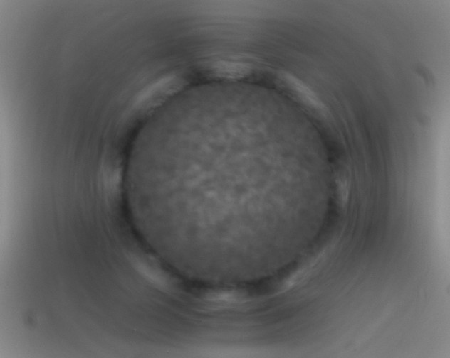 X0000114390745200910161253