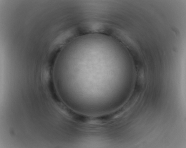 X0000114390746200910161253