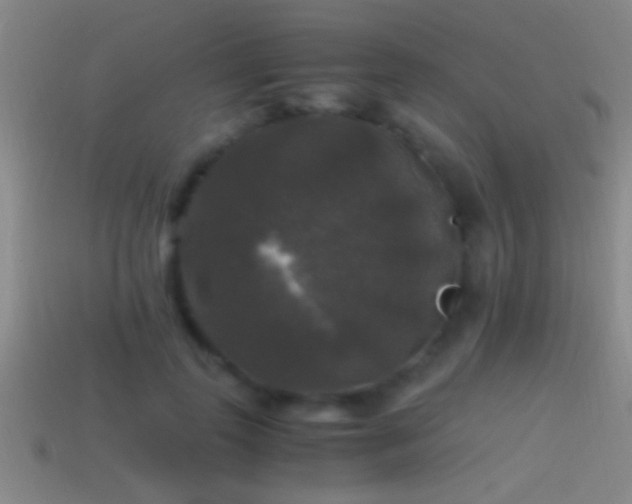 X0000114390747200910161253