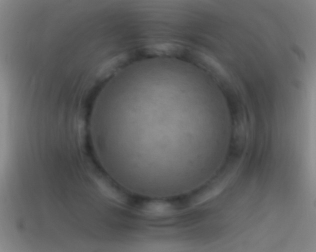 X0000114390749200910161253