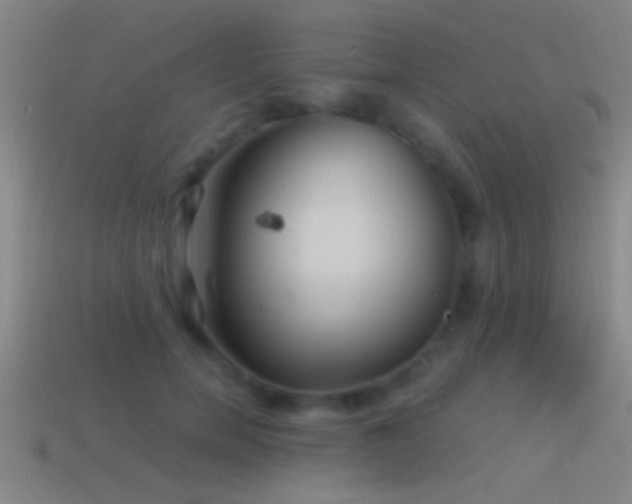 X0000114390750200910161253
