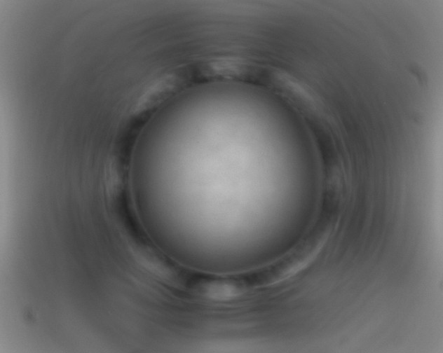 X0000114390751200910161253