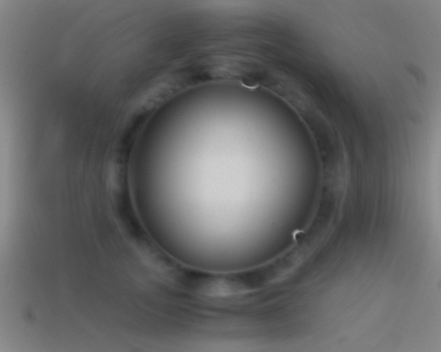 X0000114390755200910161253