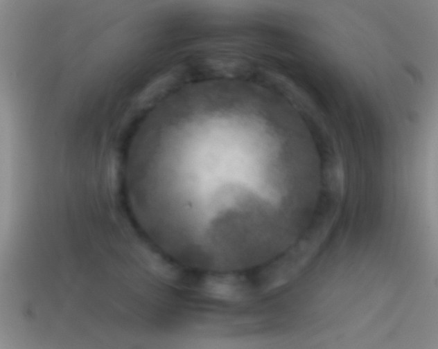 X0000114390757200910161253