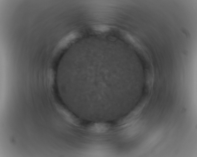 X0000114390758200910161253