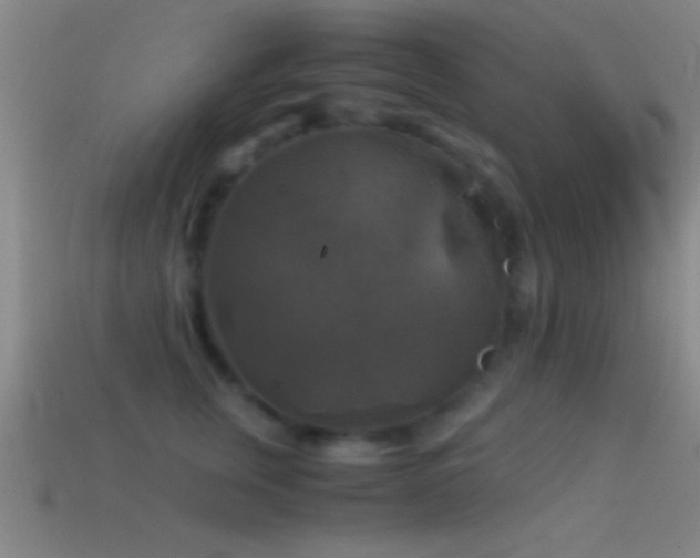 X0000114390759200910161253