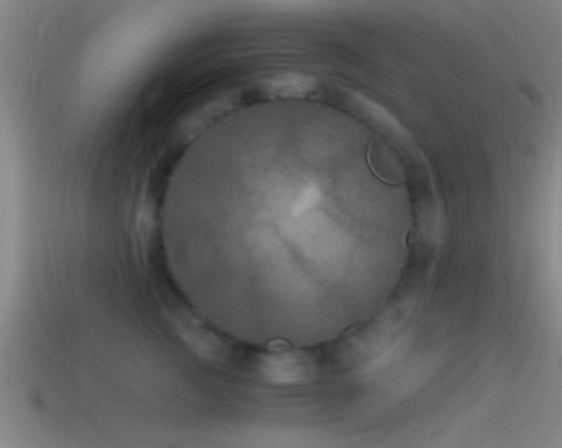 X0000114390761200910161253