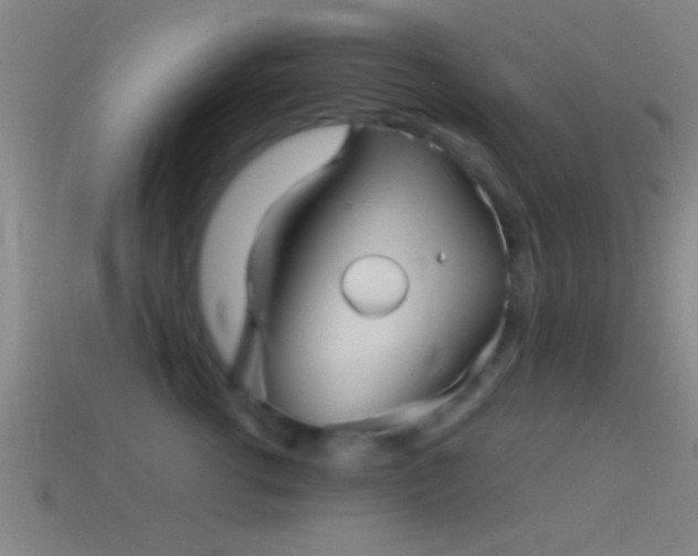 X0000114390762200910161254