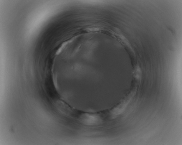 X0000114390763200910161254