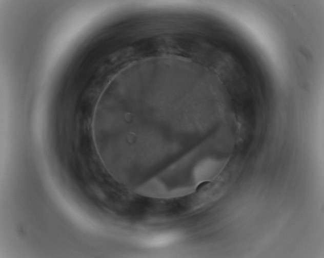 X0000114390765200910161254
