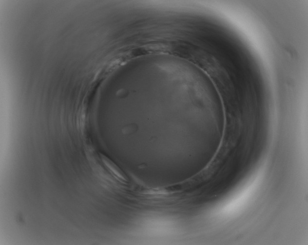 X0000114390767200910161254