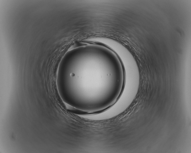 X0000114390769200910161253