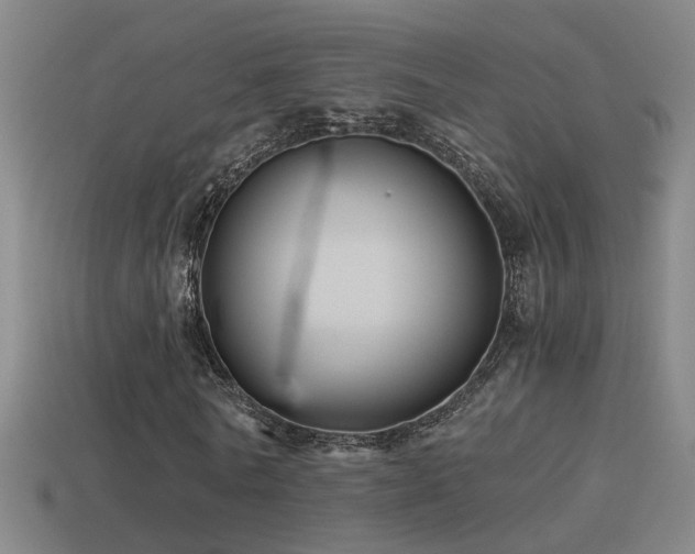 X0000114390770200910161253