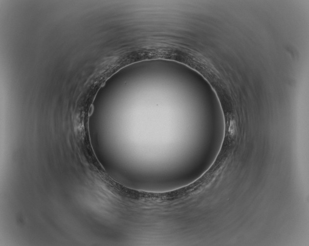 X0000114390771200910161253