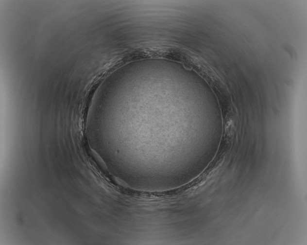 X0000114390772200910161253
