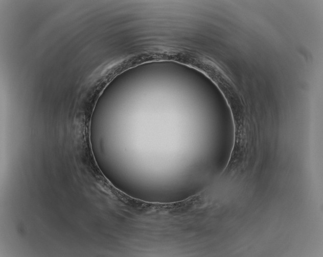 X0000114390773200910161253