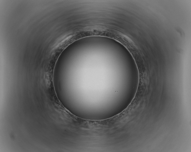 X0000114390774200910161253