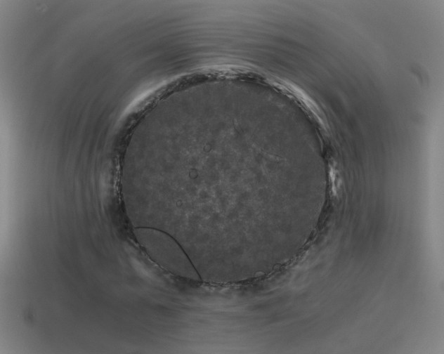 X0000114390775200910161253