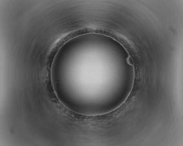 X0000114390776200910161253