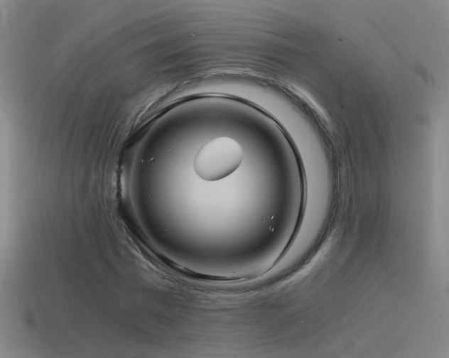 X0000114390777200910161253