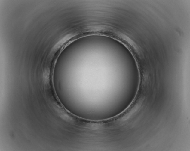 X0000114390778200910161253