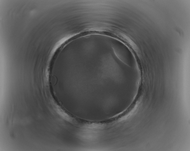 X0000114390779200910161253