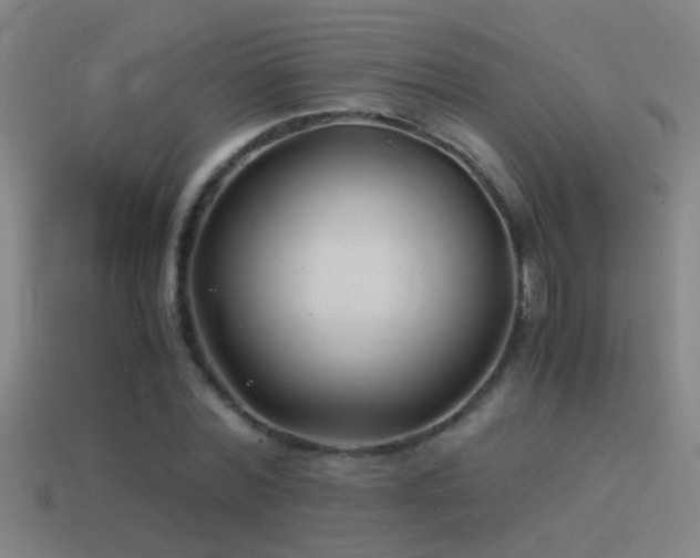 X0000114390780200910161253